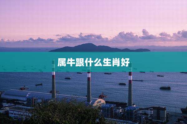 属牛跟什么生肖好