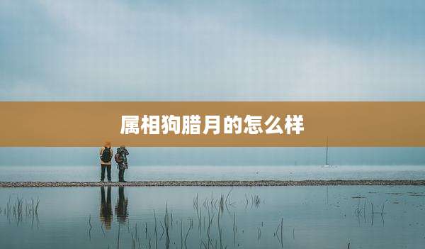 属相狗腊月的怎么样
