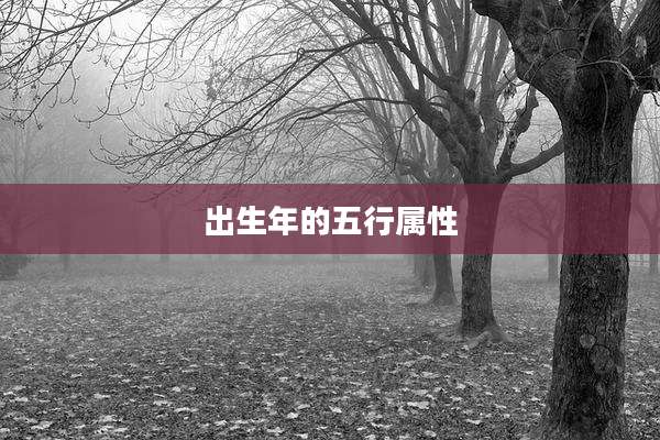 出生年的五行属性