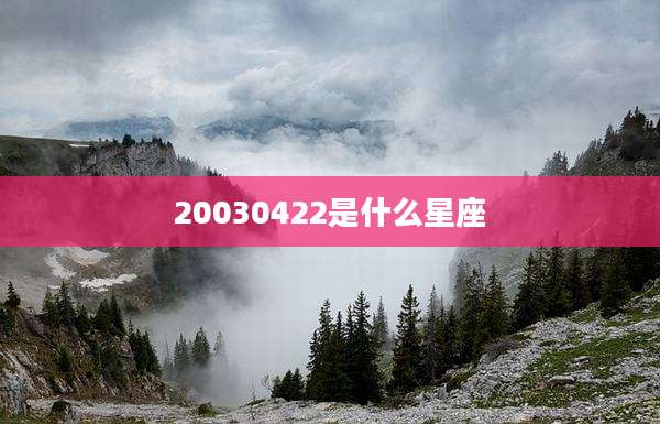 20030422是什么星座