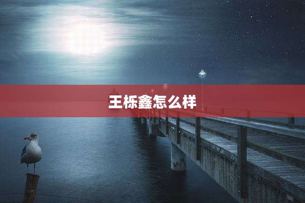 王栎鑫怎么样