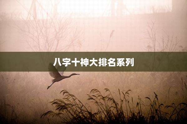八字十神大排名系列