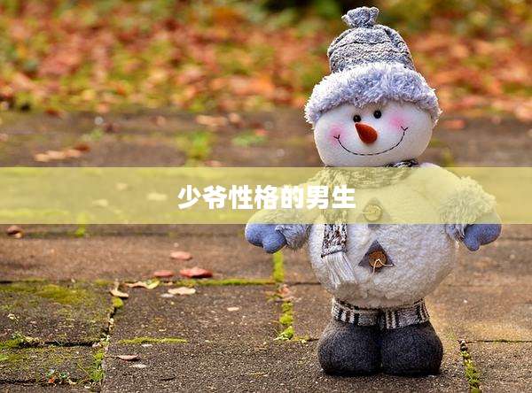 少爷性格的男生