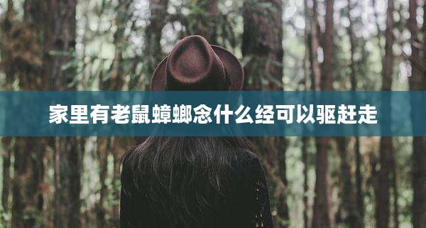 家里有老鼠蟑螂念什么经可以驱赶走