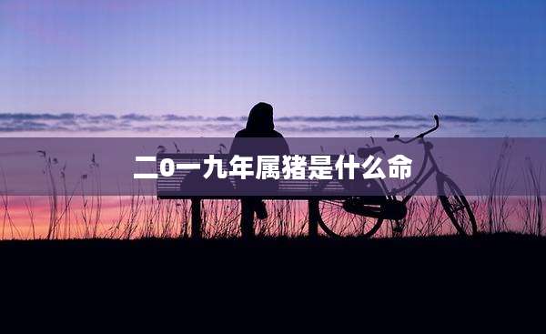 二0一九年属猪是什么命
