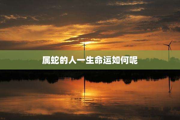 属蛇的人一生命运如何呢