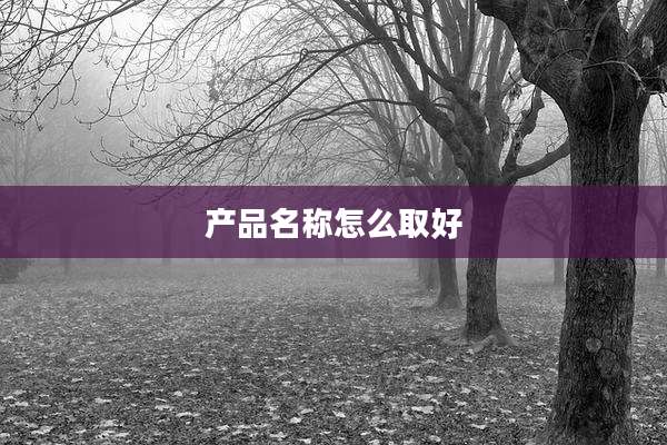 产品名称怎么取好