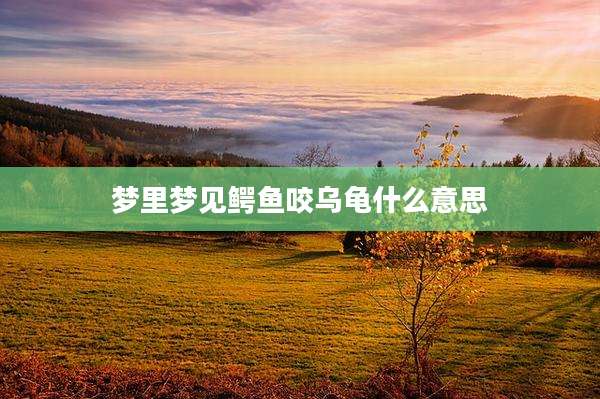 梦里梦见鳄鱼咬乌龟什么意思