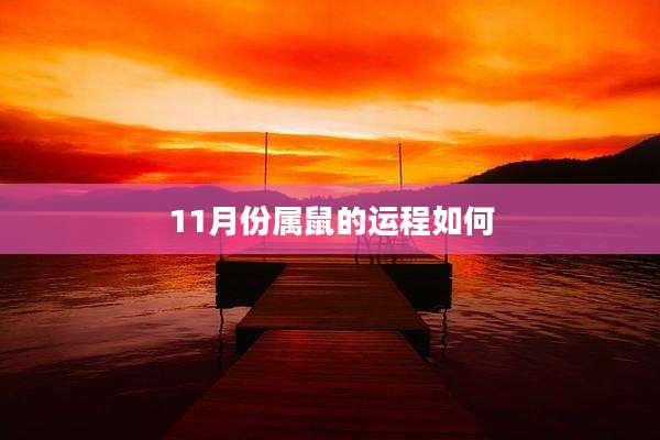 11月份属鼠的运程如何