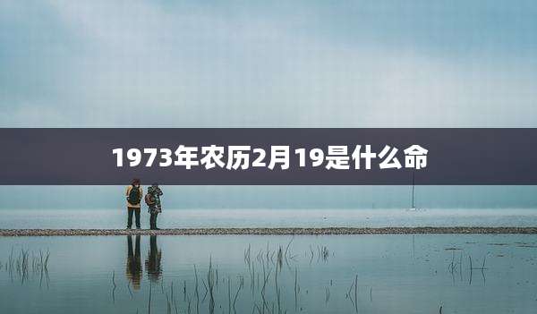 1973年农历2月19是什么命