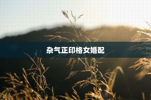 杂气正印格女婚配