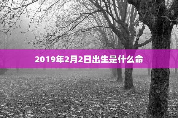 2019年2月2日出生是什么命