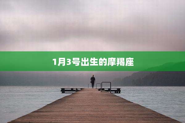 1月3号出生的摩羯座