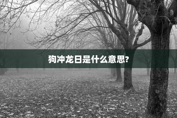 狗冲龙日是什么意思?