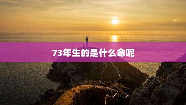 73年生的是什么命呢