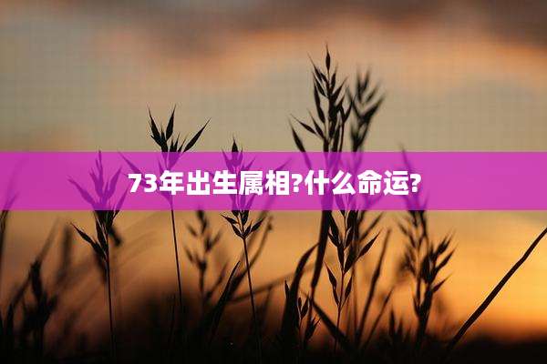 73年出生属相?什么命运?