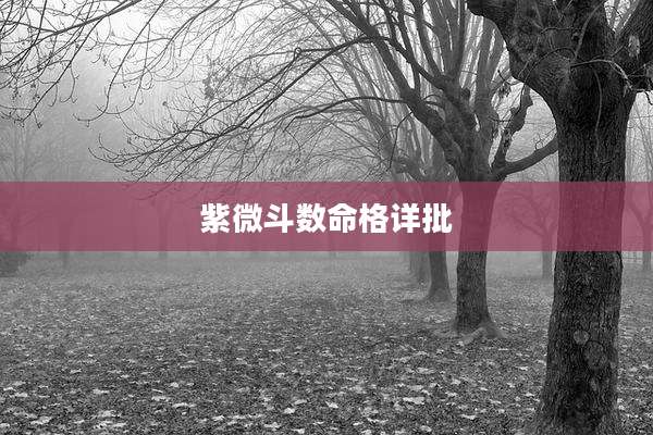 紫微斗数命格详批