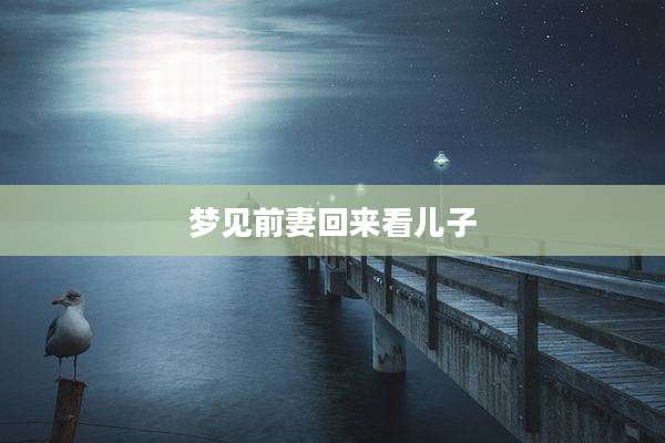 梦见前妻回来看儿子
