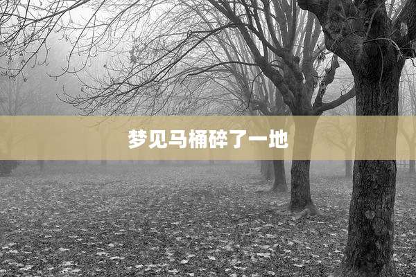 梦见马桶碎了一地