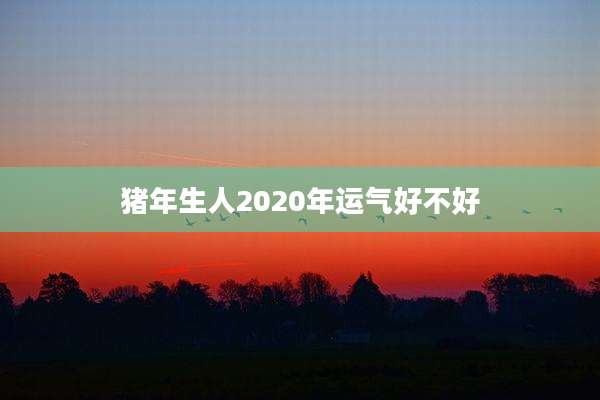 猪年生人2020年运气好不好