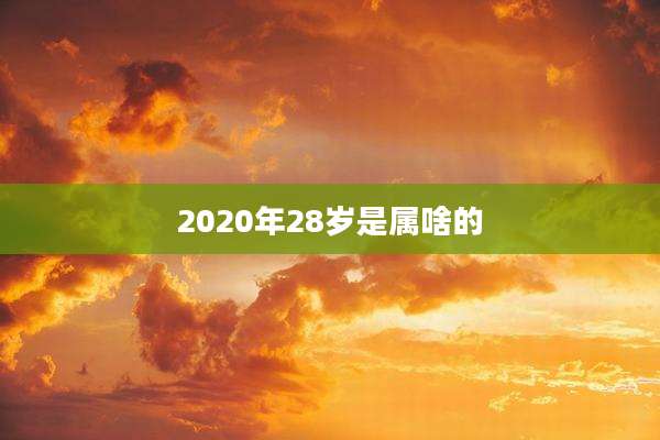 2020年28岁是属啥的