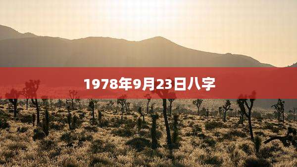1978年9月23日八字