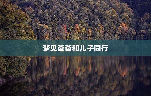 梦见爸爸和儿子同行