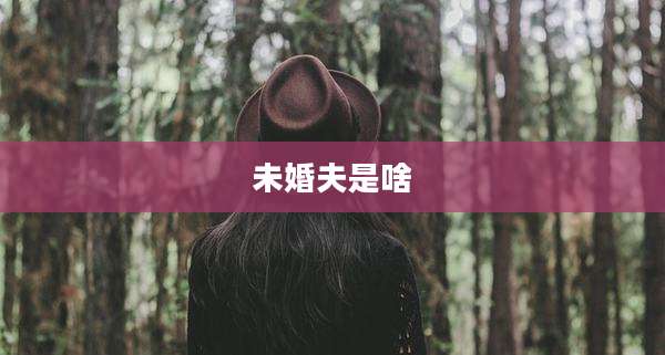 未婚夫是啥