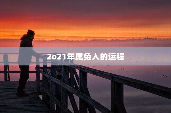 2o21年属兔人的运程