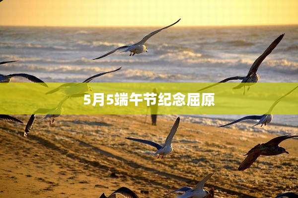 5月5端午节纪念屈原