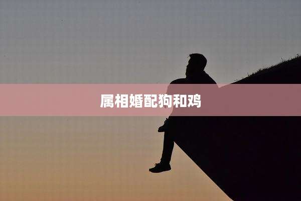 属相婚配狗和鸡