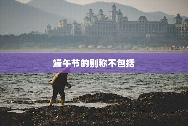 端午节的别称不包括