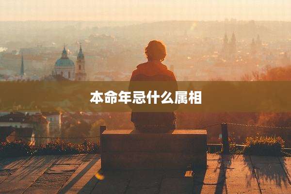 本命年忌什么属相