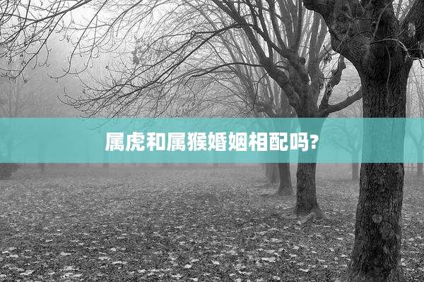 属虎和属猴婚姻相配吗?
