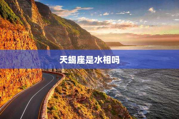 天蝎座是水相吗