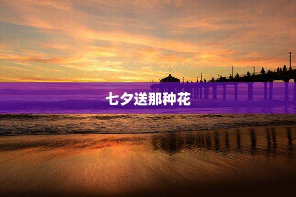 七夕送那种花