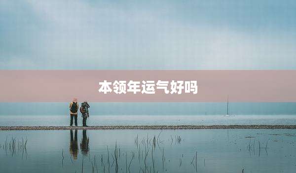 本领年运气好吗