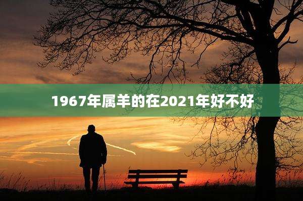 1967年属羊的在2021年好不好