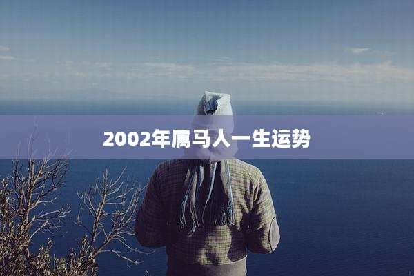 2002年属马人一生运势