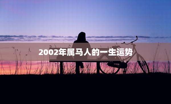 2002年属马人的一生运势