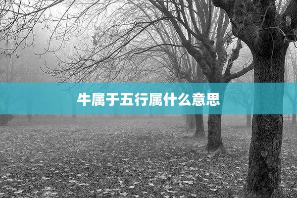 牛属于五行属什么意思