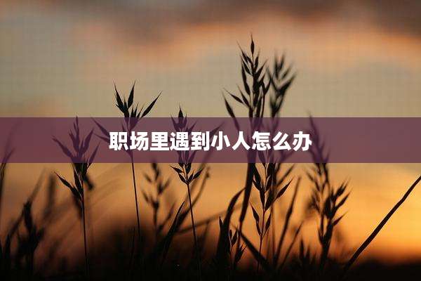 职场里遇到小人怎么办