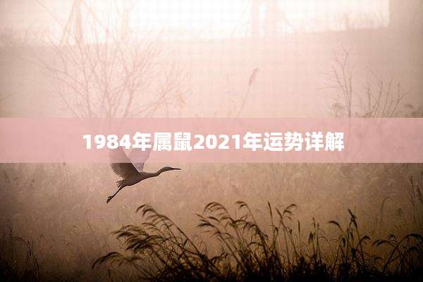 1984年属鼠2021年运势详解