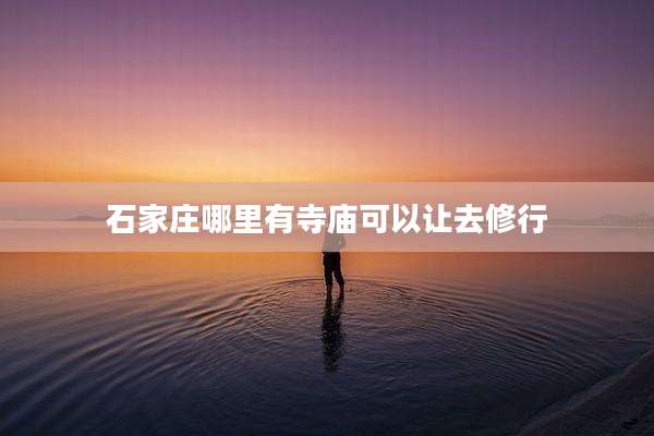 石家庄哪里有寺庙可以让去修行