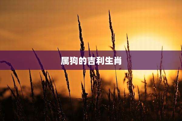 属狗的吉利生肖