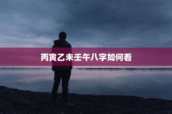 丙寅乙未壬午八字如何看