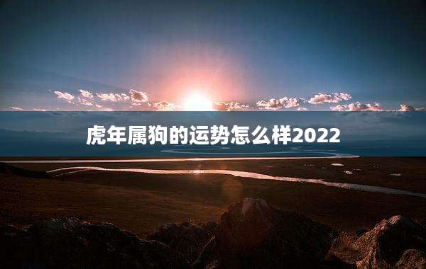虎年属狗的运势怎么样2022