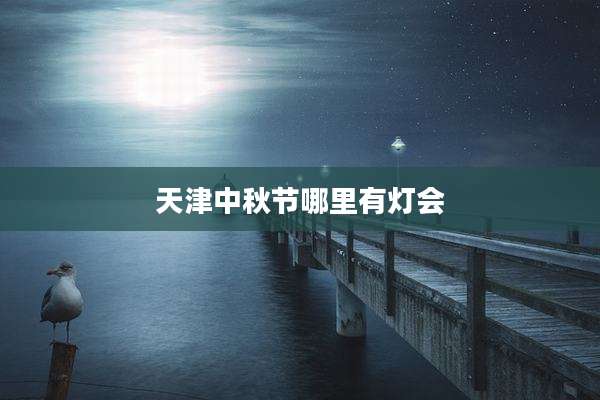 天津中秋节哪里有灯会