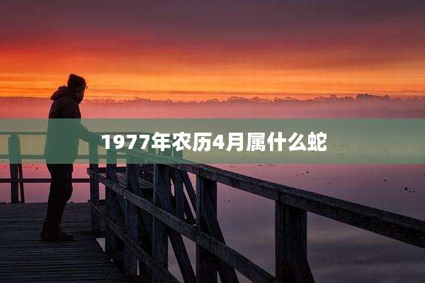 1977年农历4月属什么蛇