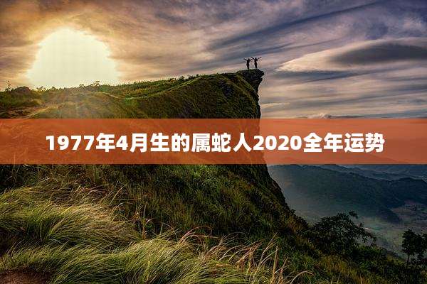 1977年4月生的属蛇人2020全年运势